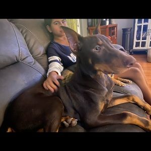 Meet your Posher, Cory